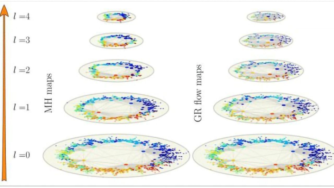 The Brain's Connectome: Why Many Different Layers Seem Strangely Similar