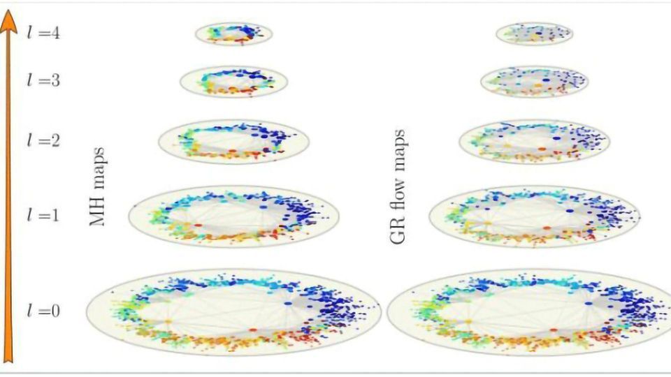 The Brain's Connectome: Why Many Different Layers Seem Strangely Similar content piece image