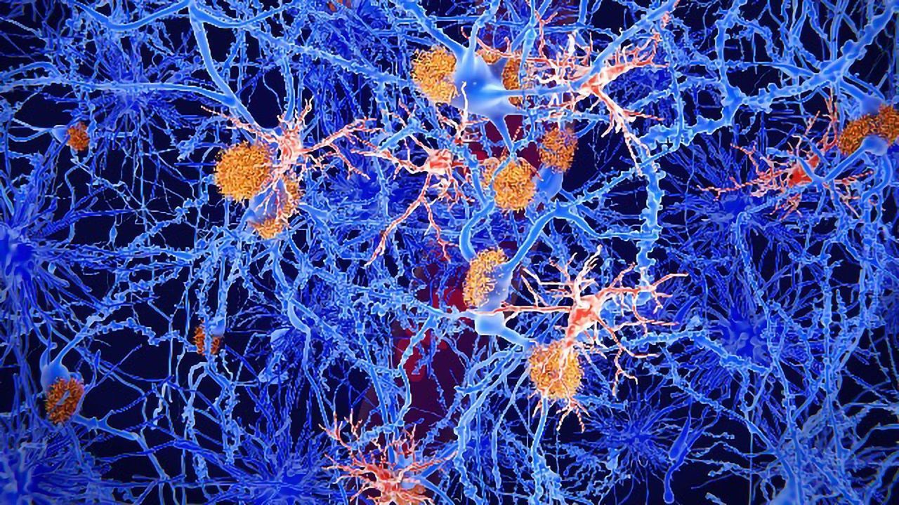 Novel Immunotherapy Proves Effective in Treating Animal Models of MS