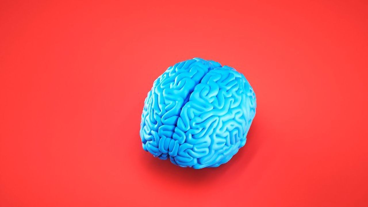"Western"Diet Impacts Learning and Memory in Mice