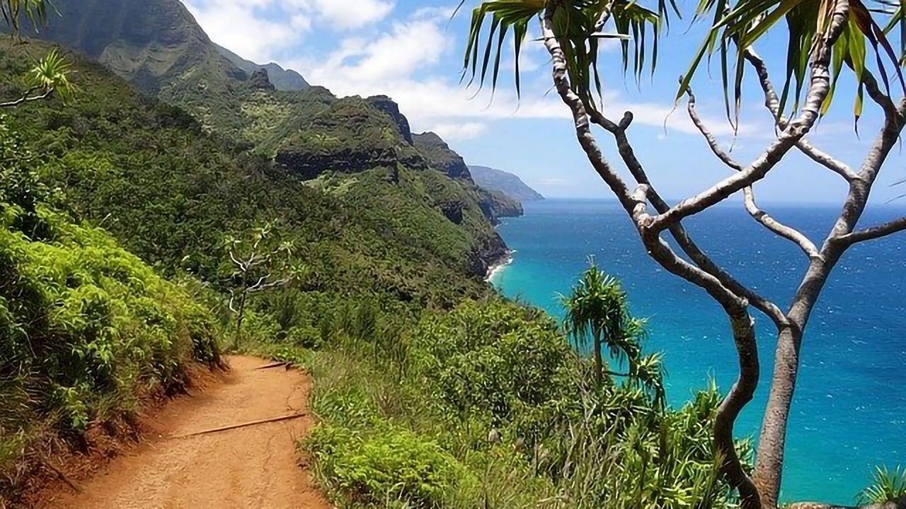 Hawaiian Soils Enriched by Dust From Thousands of Miles Away