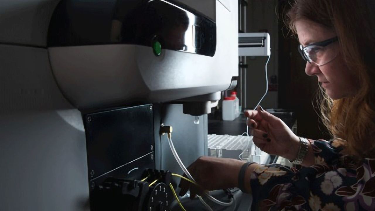 Honey, I Shrunk the Spectrometer