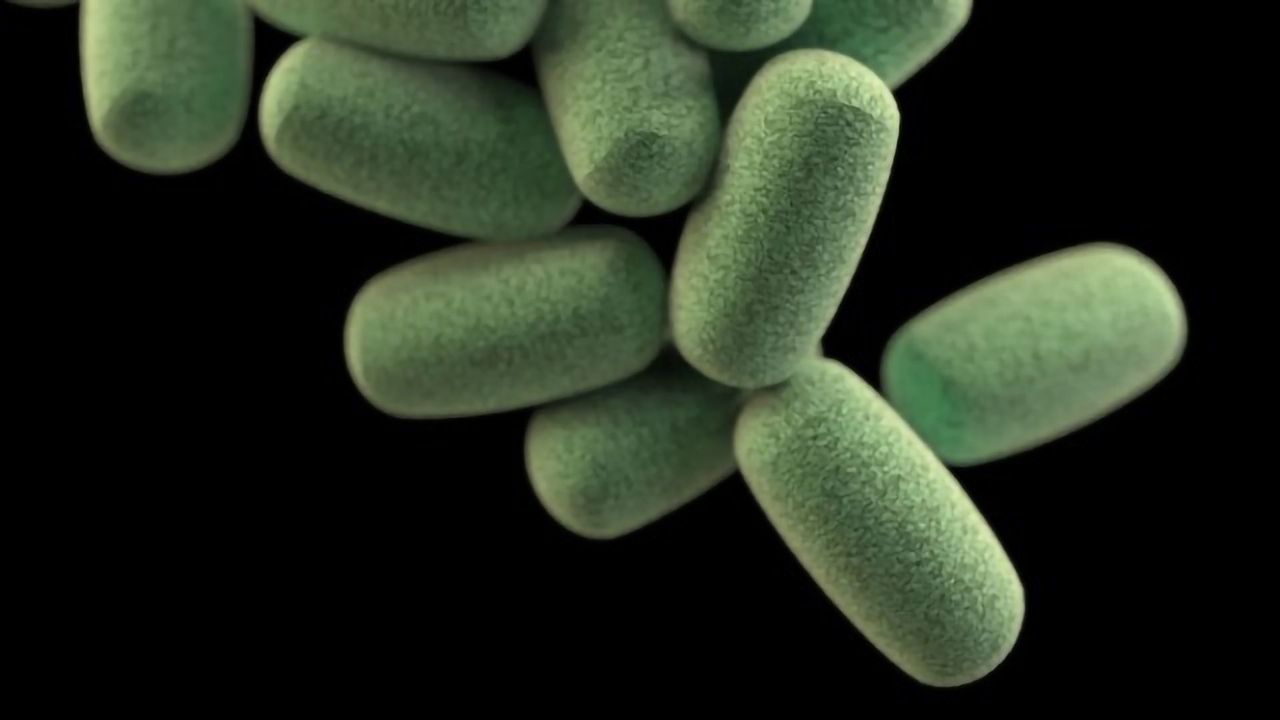 Secret Behind Protective Bacterial Shield Revealed