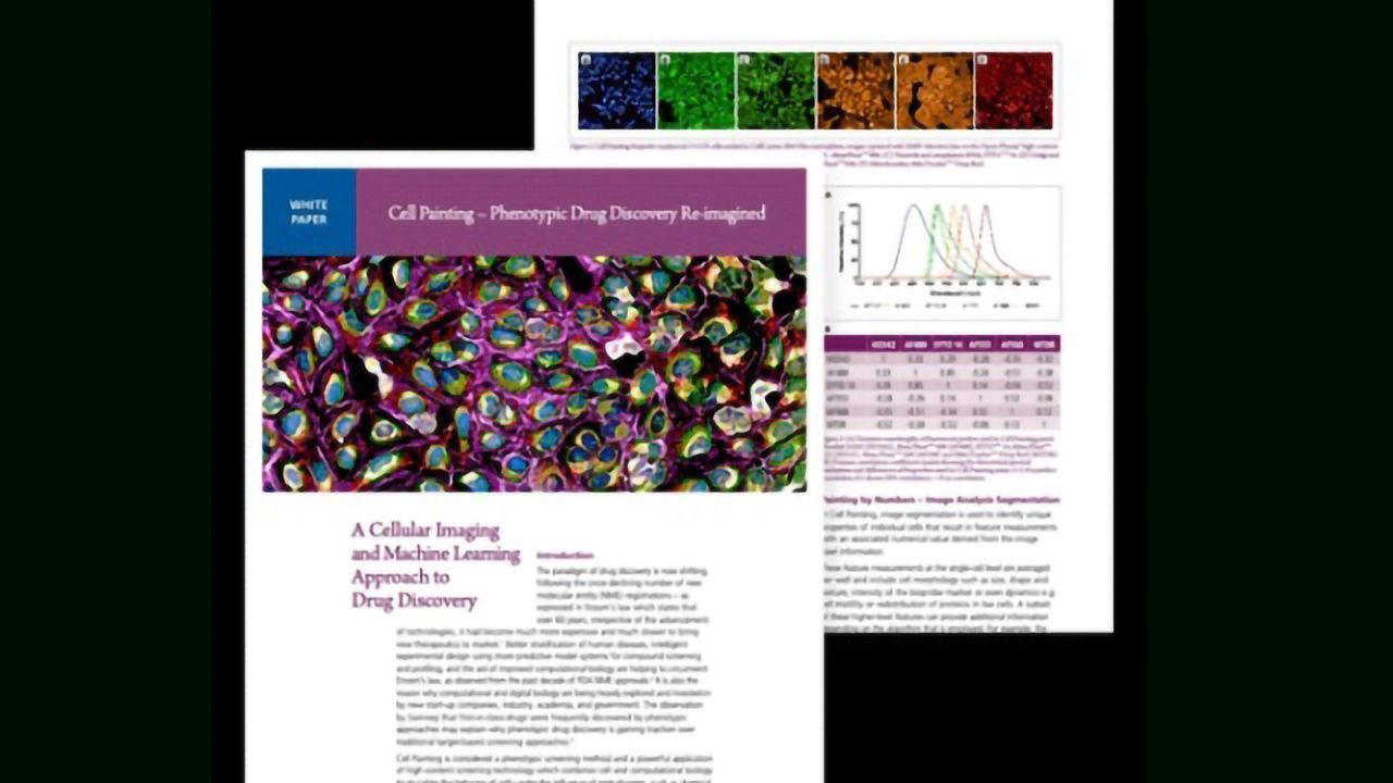 Cell Painting - A Cellular Imaging and Machine Learning Approach to Drug Discovery