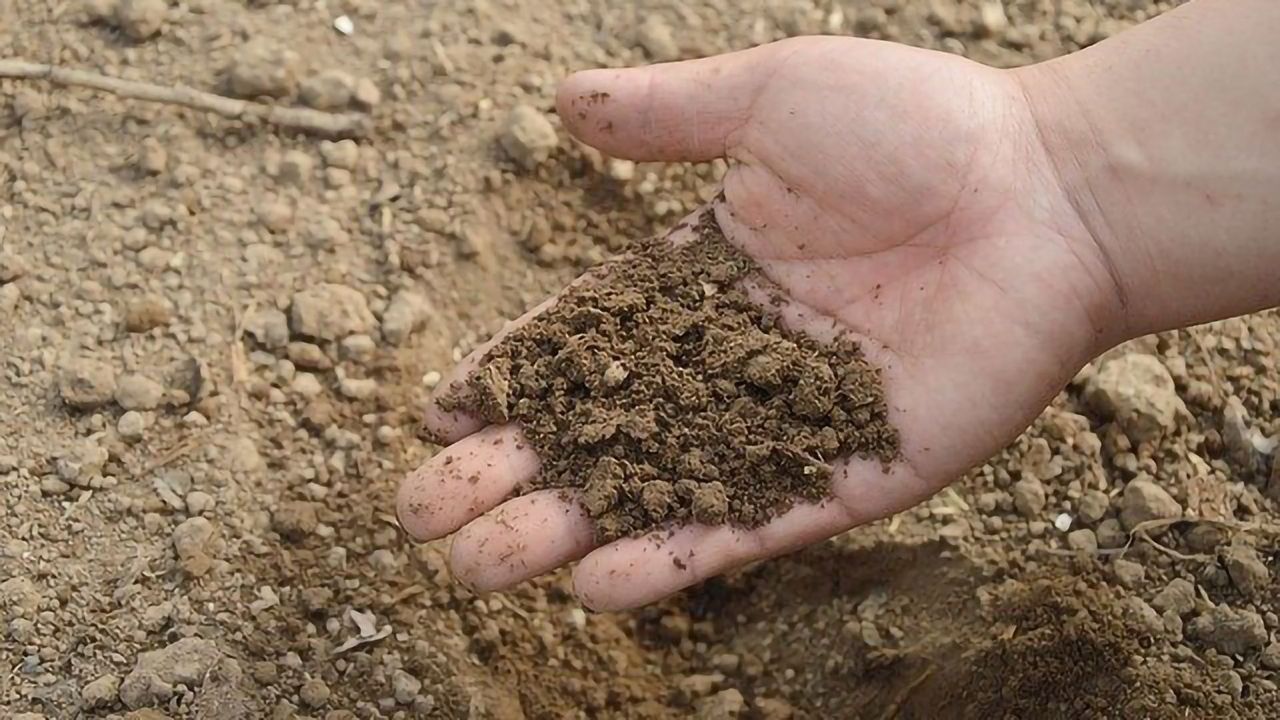 Software Solution Enables Quick and Easy Analysis of Environmental Microbes
