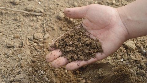 Software Solution Enables Quick and Easy Analysis of Environmental Microbes