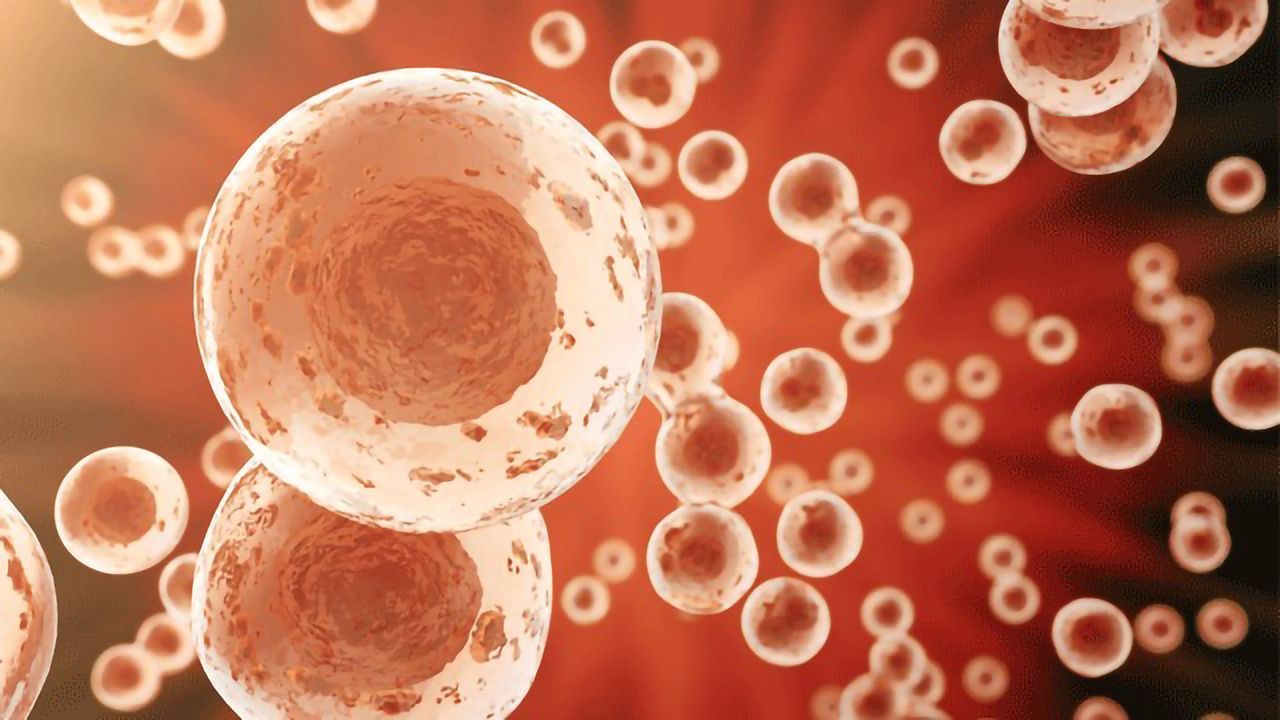 Scientists 3D Bioprint a Hybrid Tissue Construct for Cartilage Regeneration