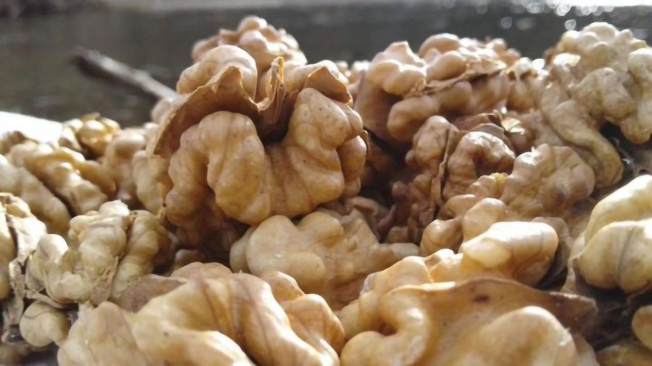 Nut Consumption Causes Modifications to Sperm DNA Function