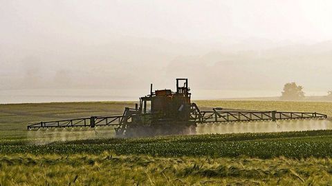 How Are Intensive Crop Monocultures Impacting Pesticide Use?