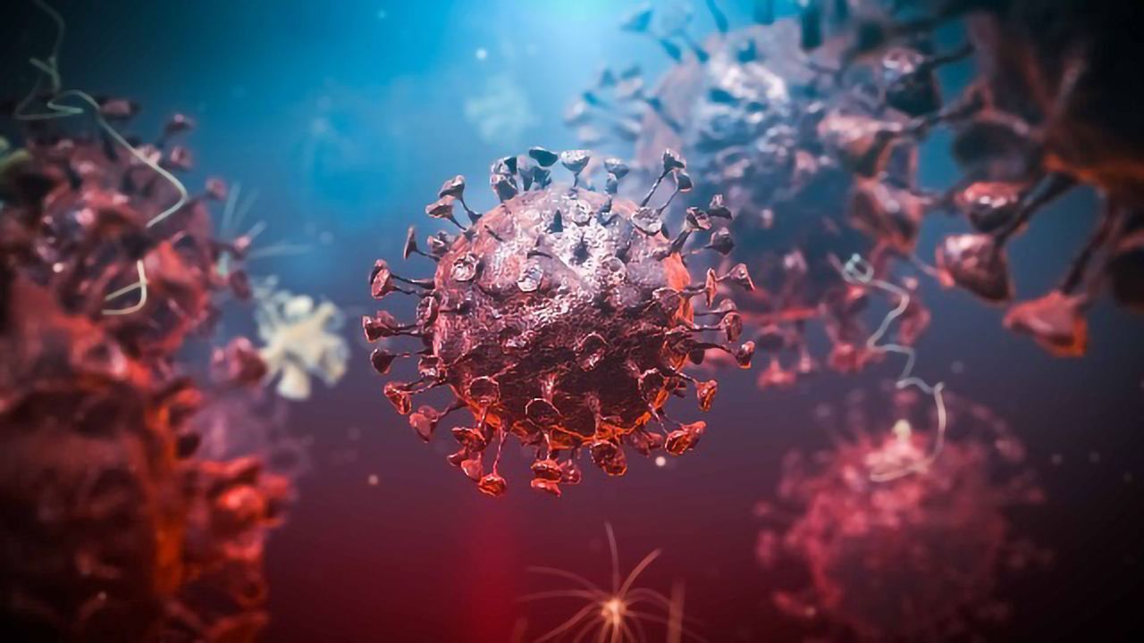 First Data To Show Protective Role of T Cell in SARS-CoV-2