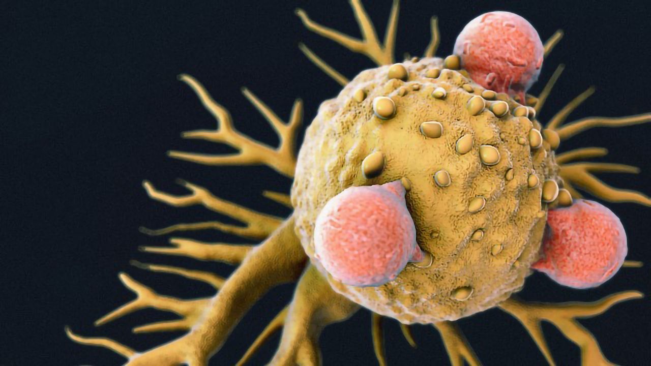 Vaccine Combines Cancer-Killing Power of Chemotherapy and Immunotherapy