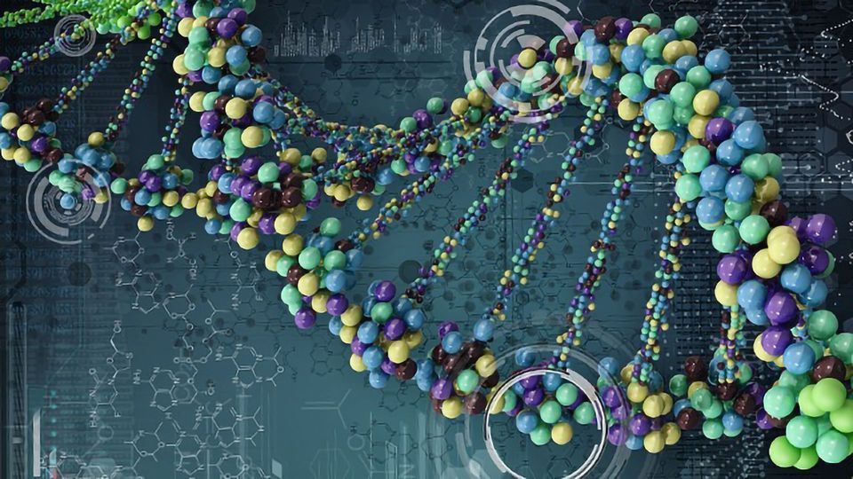 利用合成生物学原则制药发展内容块的形象