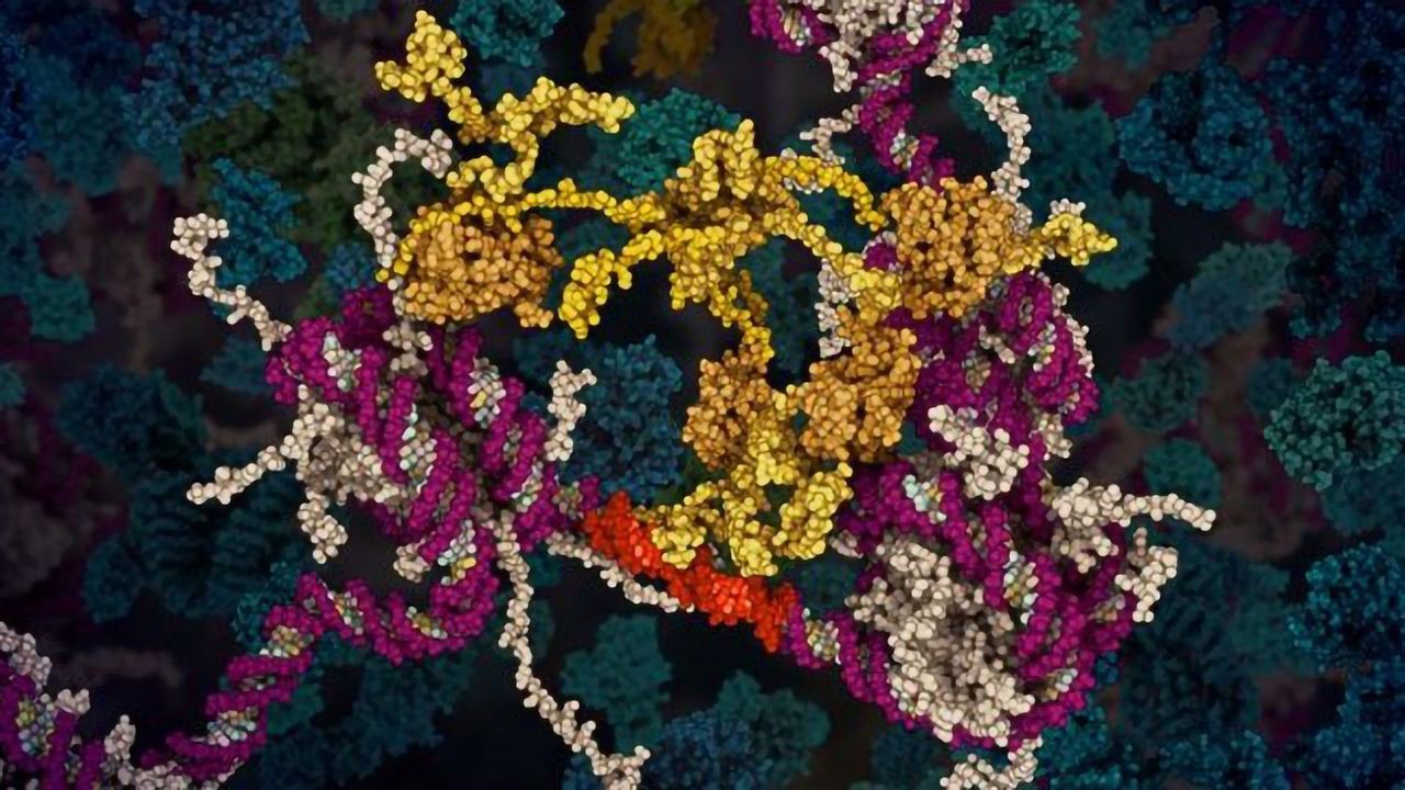Animation Exposes the Secrets of a Critical Tumor Protein