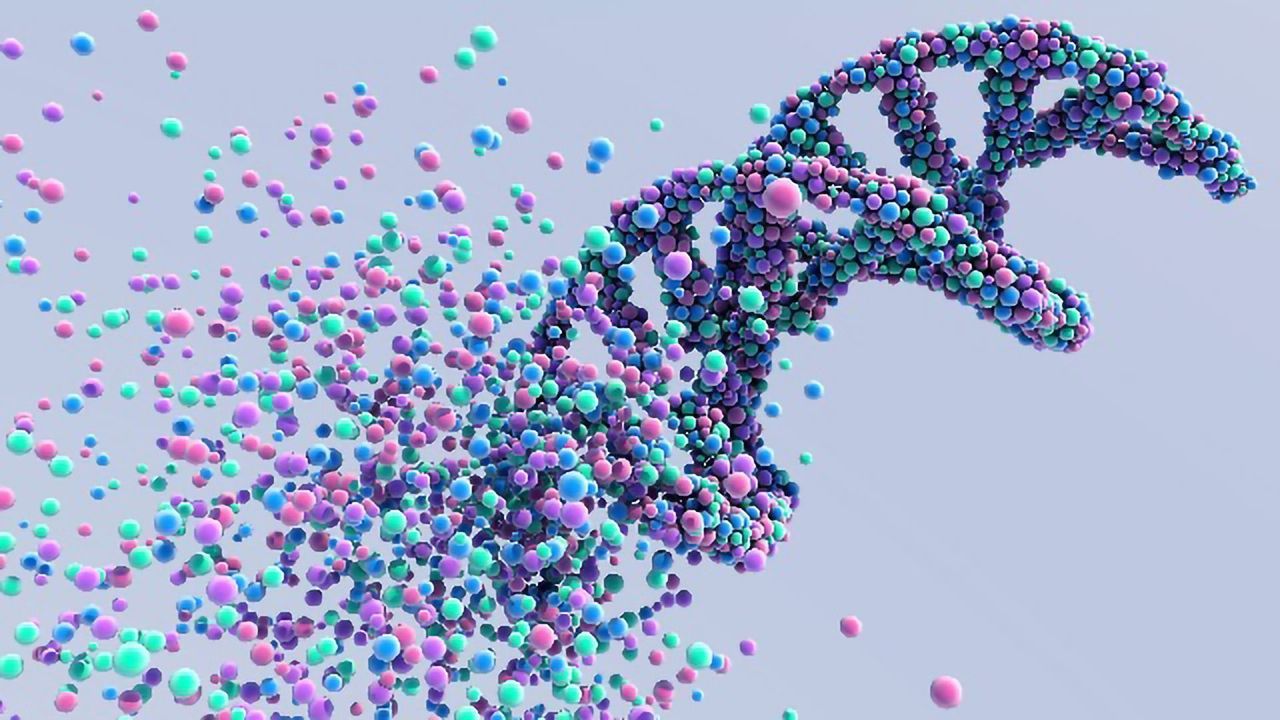 CRISPR Study Identifies Two Genes That Regulate Social Dominance