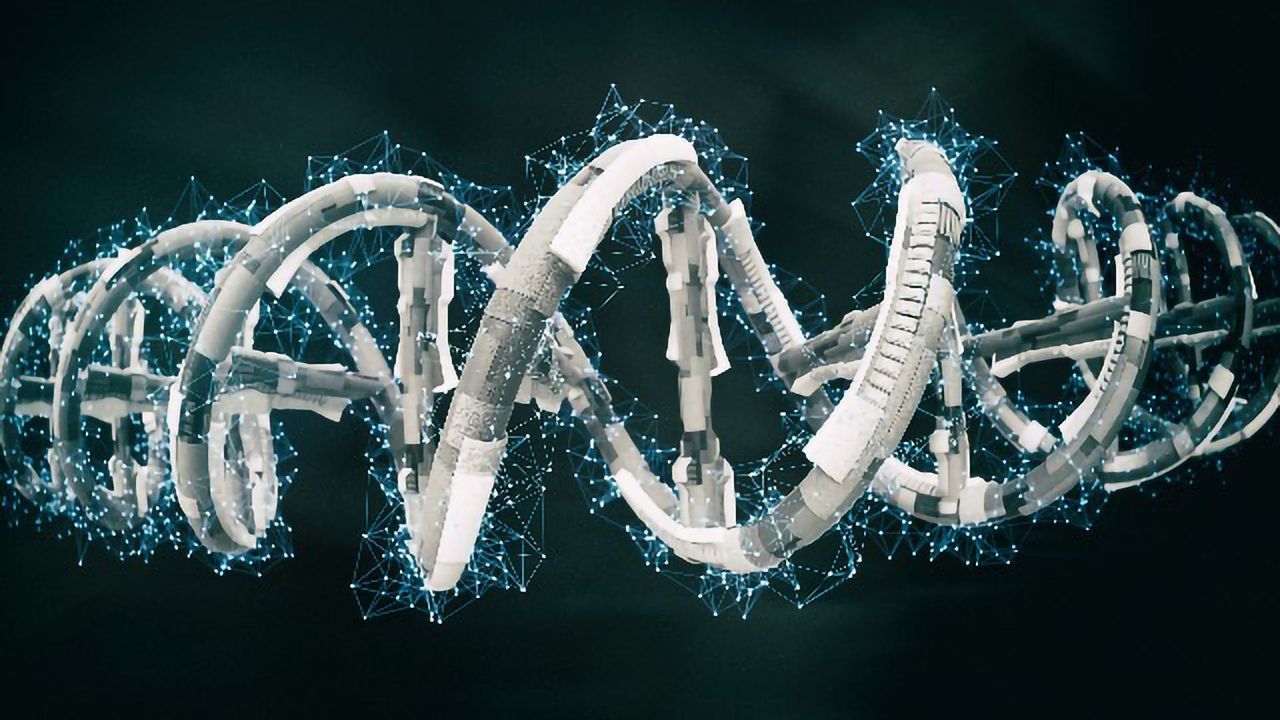 Diet-Induced Hepatocyte Regeneration Enhances CRISPR-Mediated Gene Repair