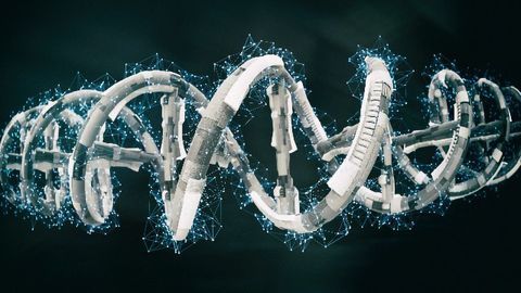 Diet-Induced Hepatocyte Regeneration Enhances CRISPR-Mediated Gene Repair