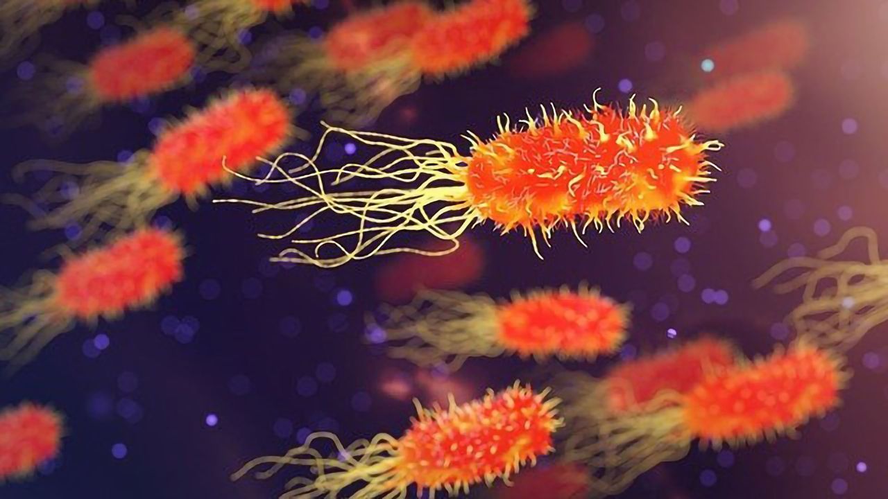 Designing Artificial Microswimmers for Targeted Drug Delivery