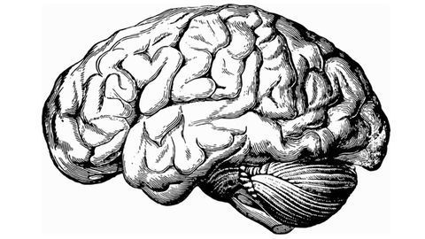 Nanoparticle Crosses Blood–Brain Barrier To Deliver Drugs Directly to Brain Tumors in Mice