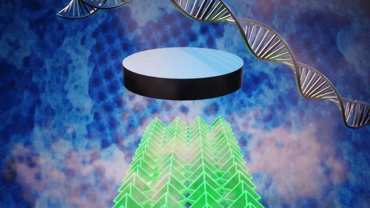 A Platform for Making 3-D Nanosuperconductors With DNA