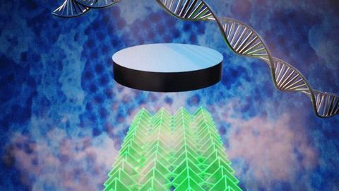 A Platform for Making 3-D Nanosuperconductors With DNA