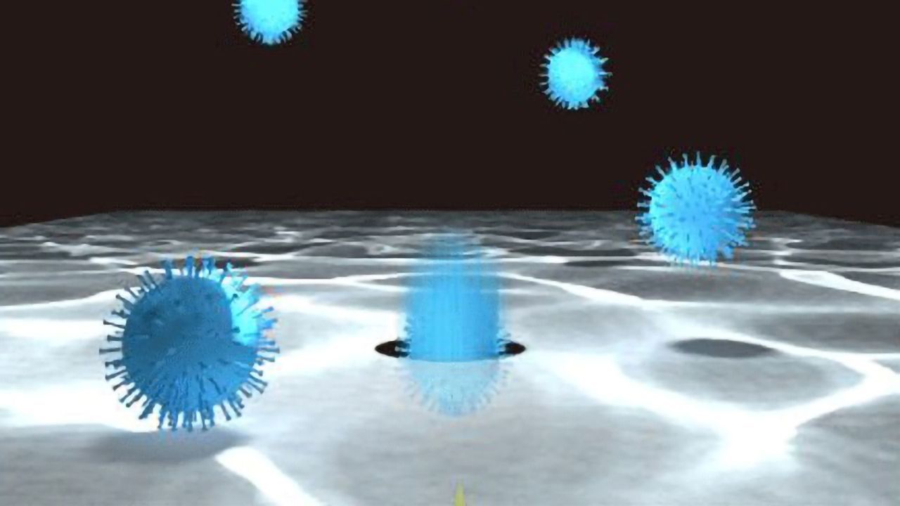 Rapid Virus Identification With Help From Machine Learning