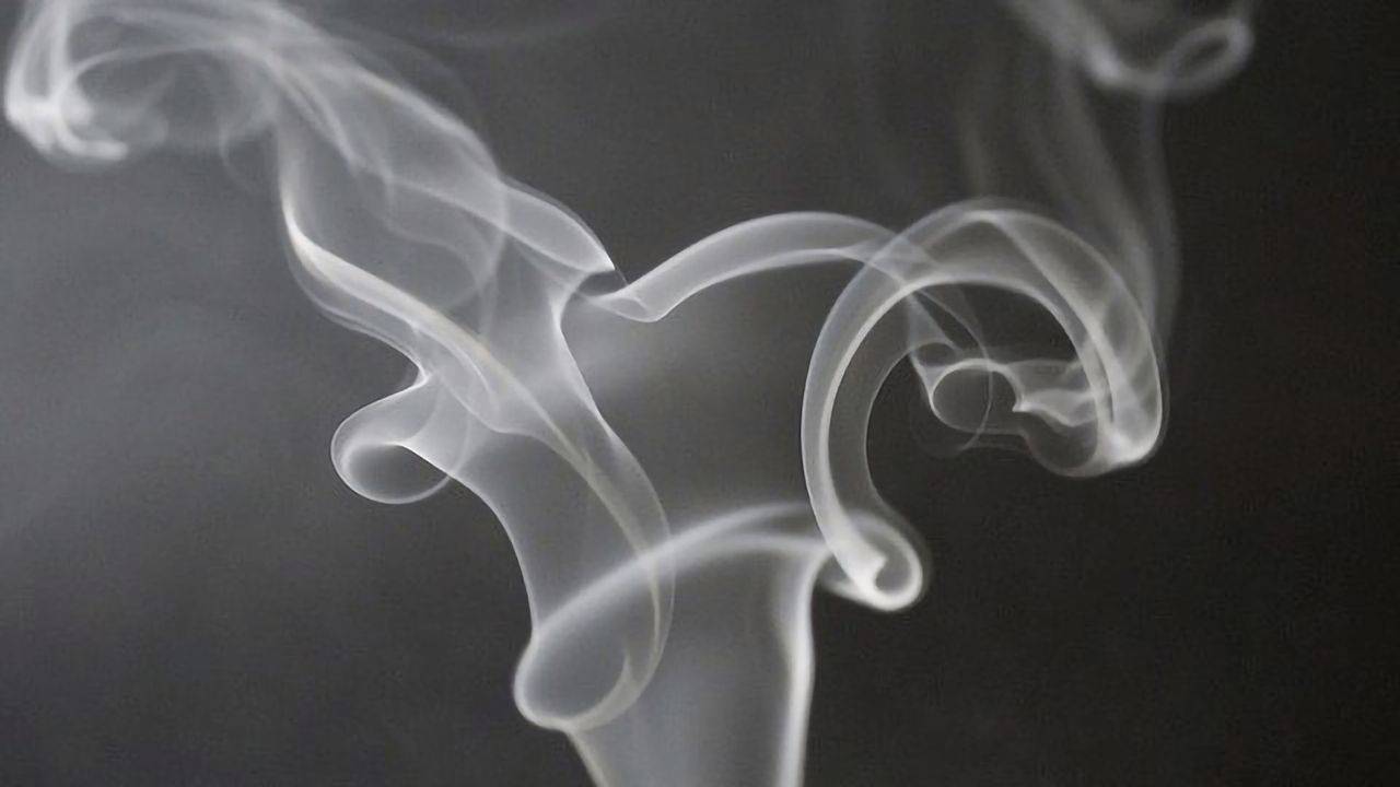 Compound Stops Stressed-Out Rats Taking Nicotine