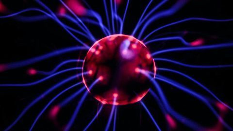 Researchers Reveal Hidden Areas of the Mammalian Brain Susceptible to Opioids