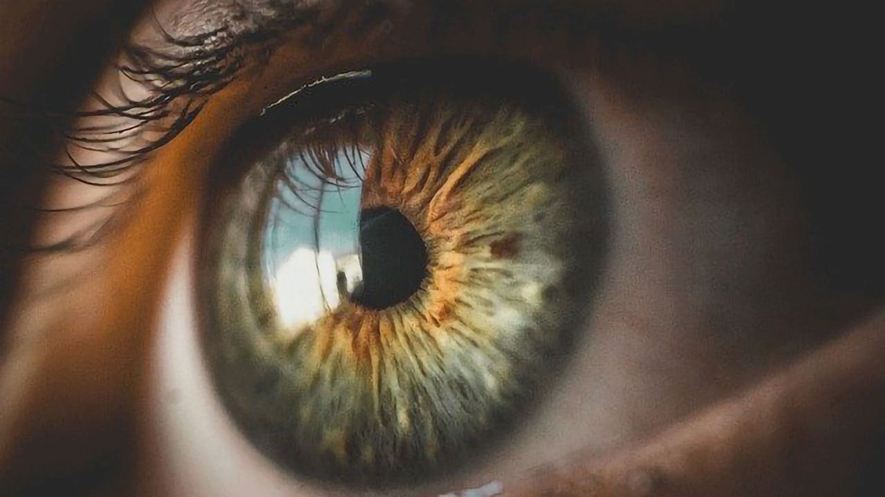 Newly-Identified Group of Neurons Could Offer Target for Strabismus Therapies