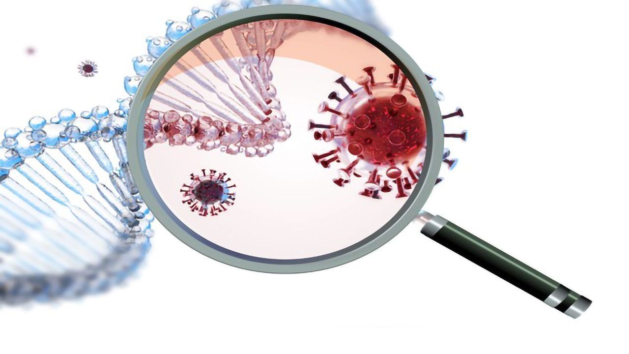 What the D614G Mutation Means for SARS-CoV-2 Vaccines