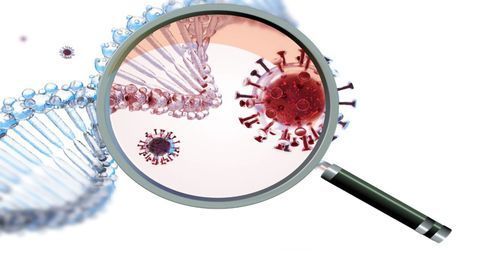 What the D614G Mutation Means for SARS-CoV-2 Vaccines