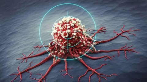 pH-Sensitive Iridium Complexes as Anticancer Compounds