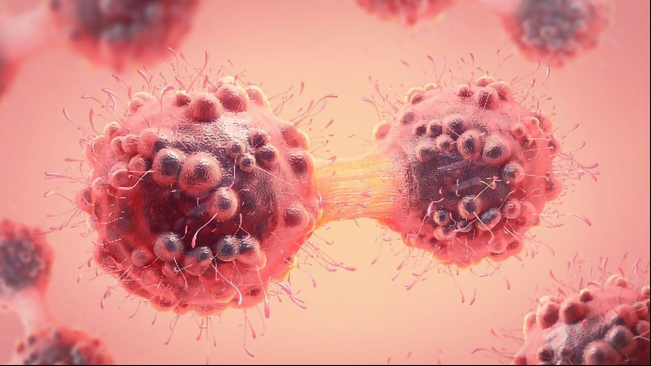 Researchers Reverse Blood Flow Inhibition Cause by Metastasis