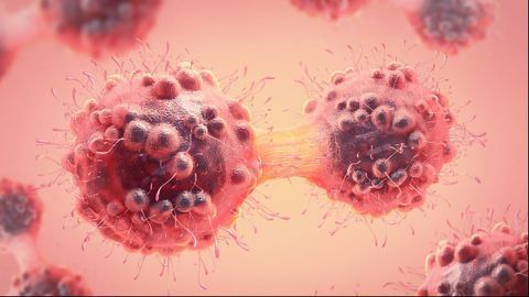 Researchers Reverse Blood Flow Inhibition Cause by Metastasis