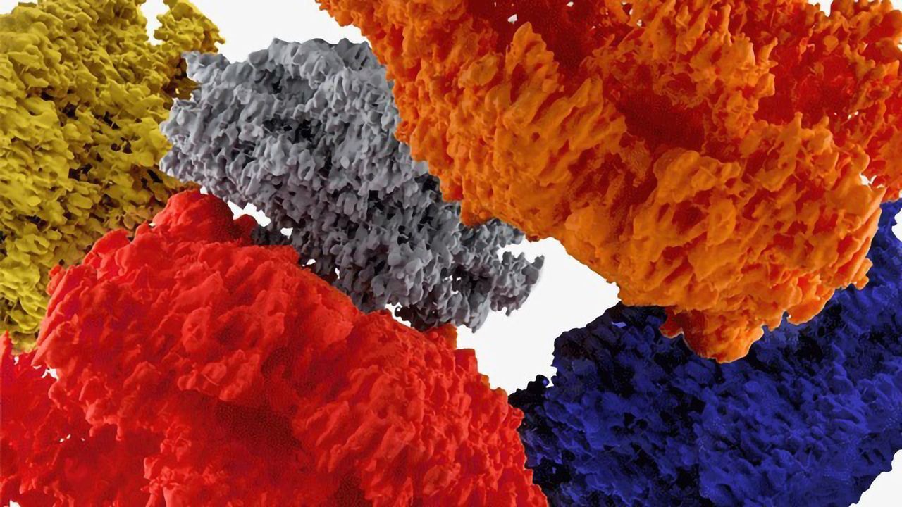 Astrocytes: The Master Conductors of the Brain