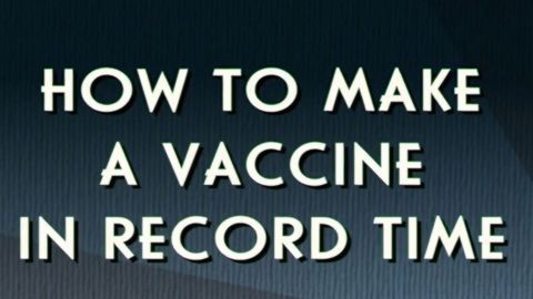 How To Make a Vaccine in Record Time