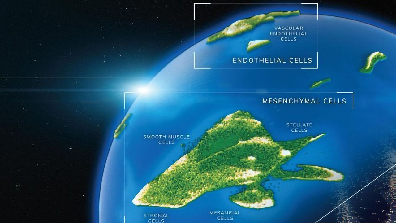Molecular Atlases Reveal How Human Cells Develop and Grow
