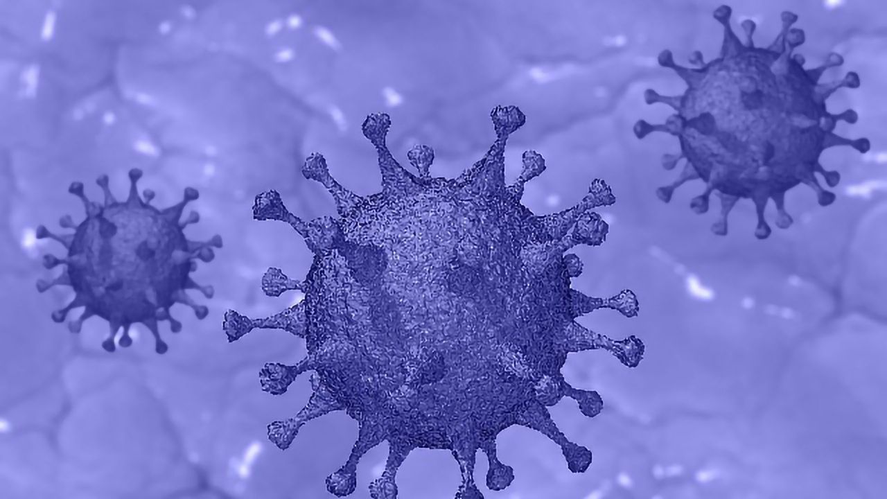 New Saliva-Based Test Accurately Detects the Presence of Antibodies to SARS-CoV-2