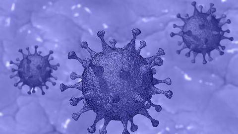 New Saliva-Based Test Accurately Detects the Presence of Antibodies to SARS-CoV-2