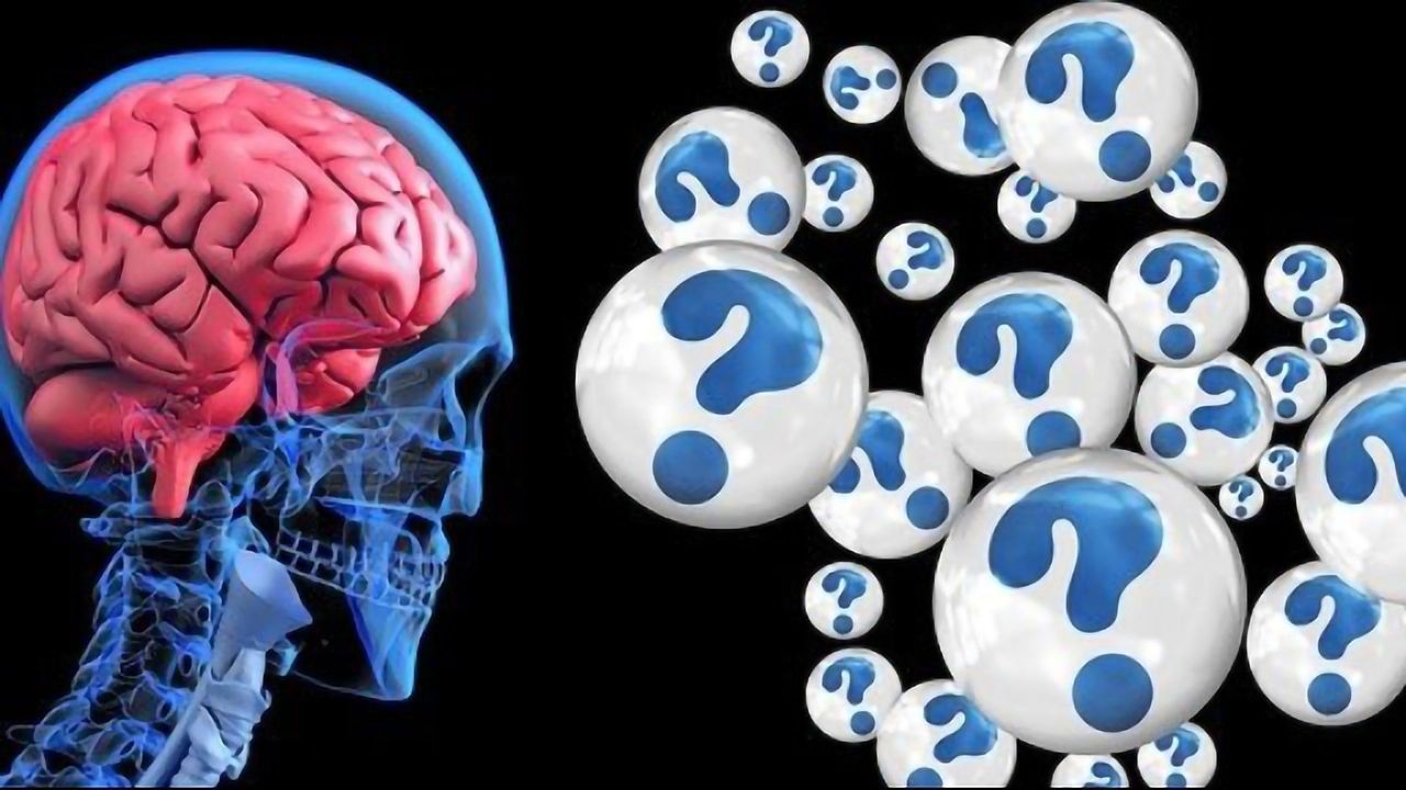 Link Between Gut Microbiome and Alzheimer's Confirmed