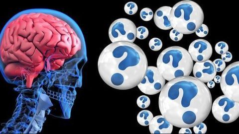 Link Between Gut Microbiome and Alzheimer's Confirmed