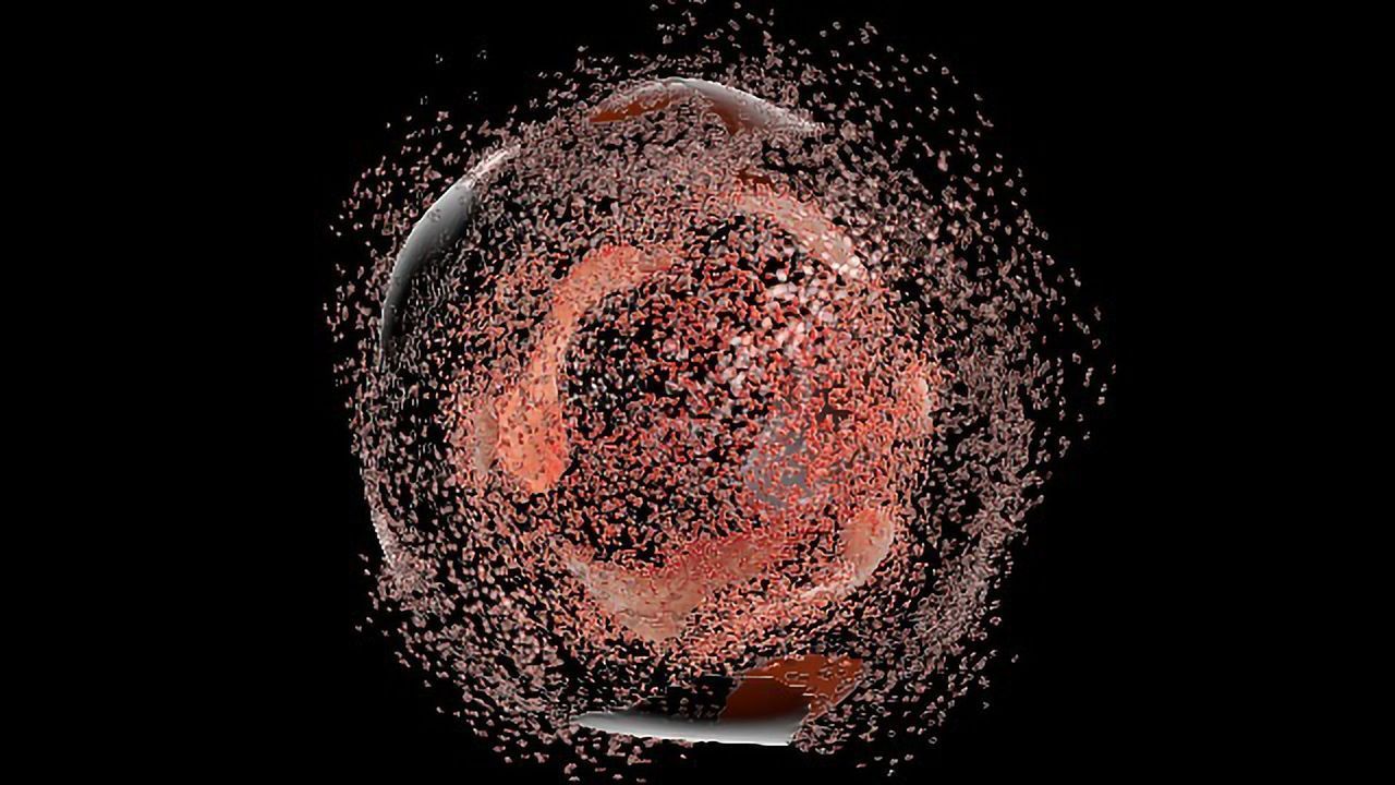 Key Factors Involved in Cellular Survival Identified
