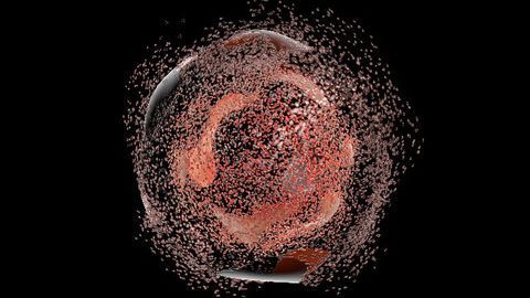 Key Factors Involved in Cellular Survival Identified