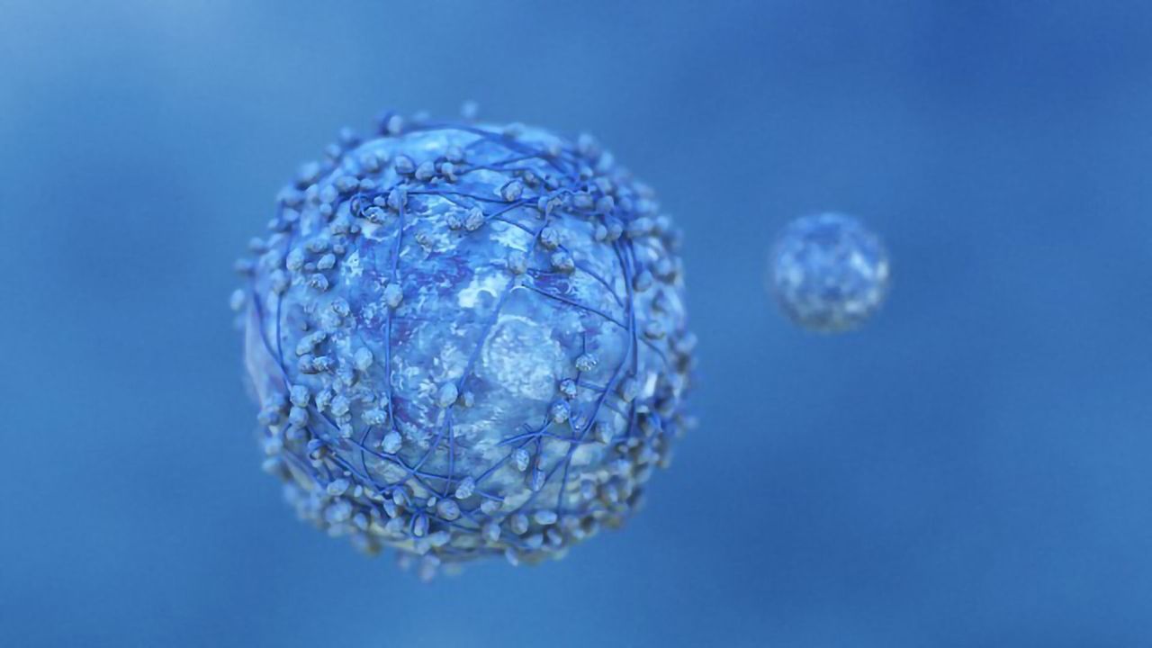 Exploring the Role of Long Non-Coding RNA in Cancer Development