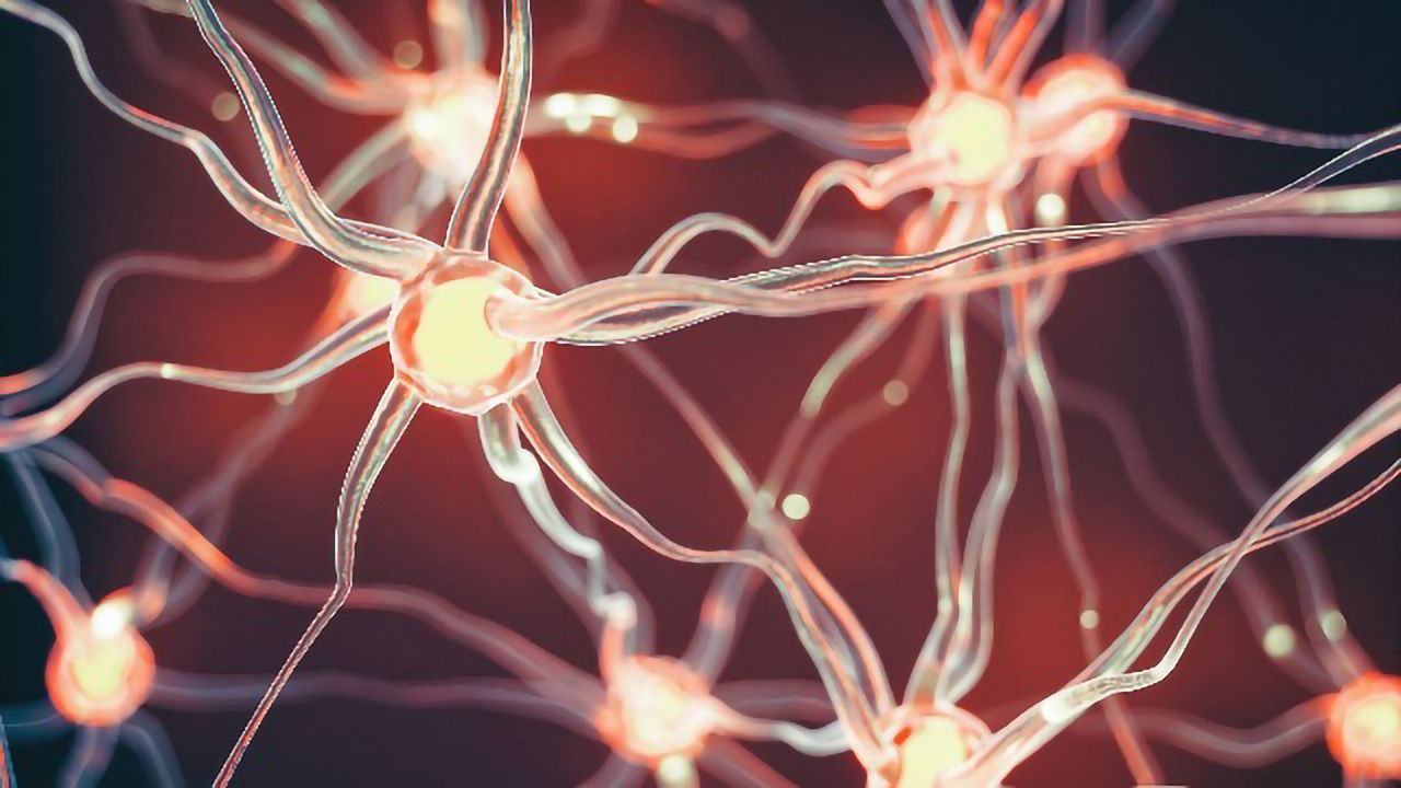 Neurons Without an Identity Are Cellular Hallmarks of Alzheimer's