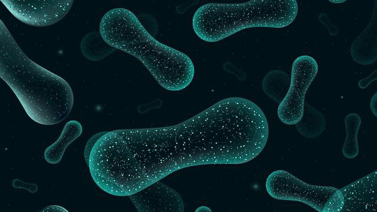 How Do Microbiota Transplants for Autism Affect Our Metabolome?