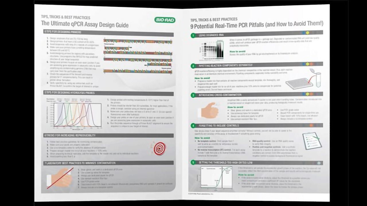 qPCR Assays: Tips, Tricks and Best Practice