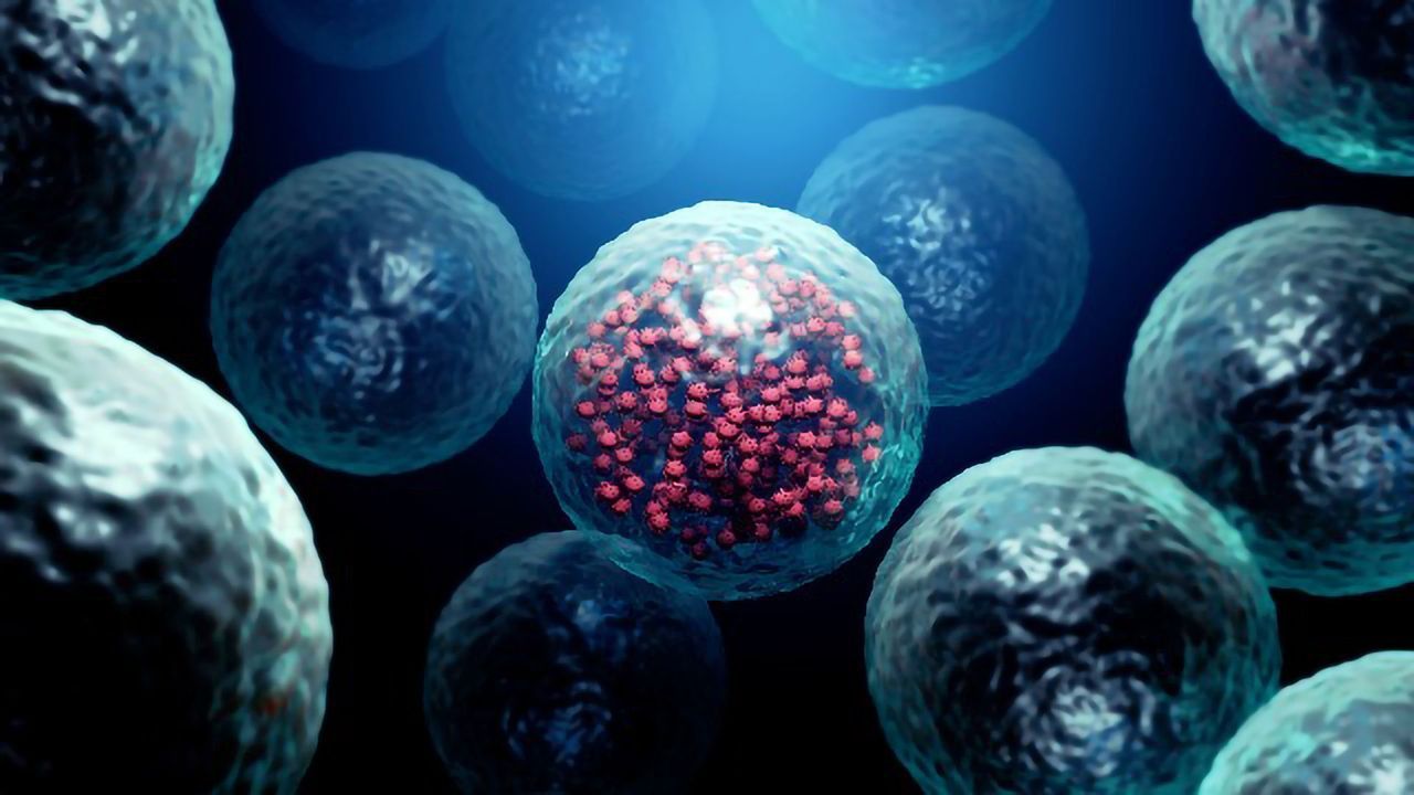 The Promise of Using Cell Cultures To Fight SARS-CoV-2