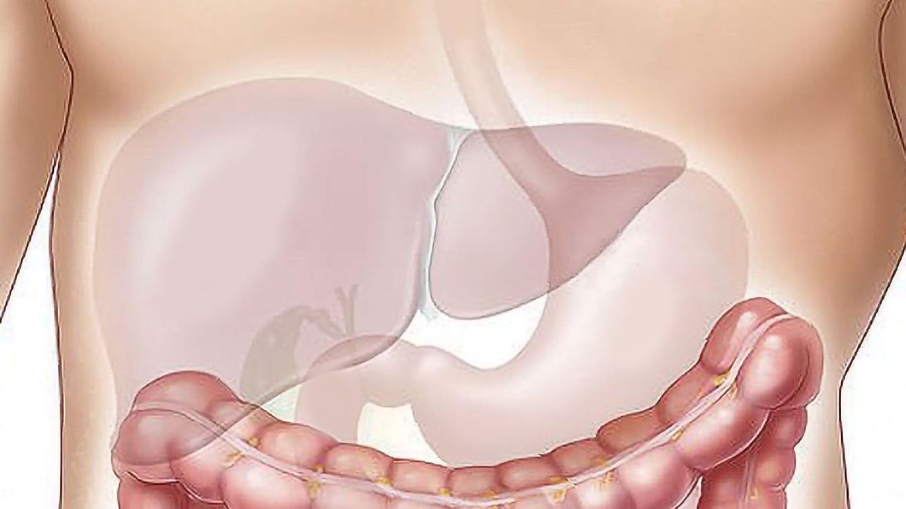 Urinary Peptides Associated With Liver Fibrosis Identified