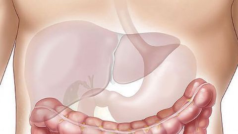 Urinary Peptides Associated With Liver Fibrosis Identified