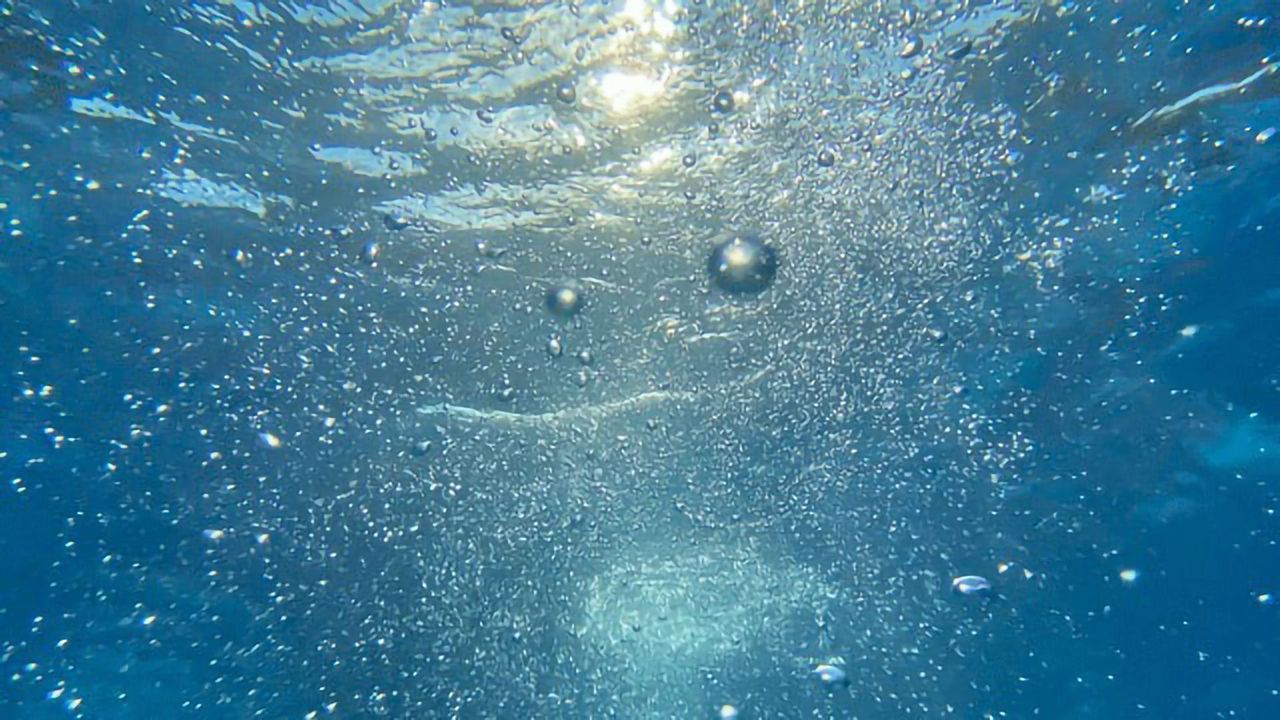 Agricultural Waste Product Can Remove Contaminants From Wastewater